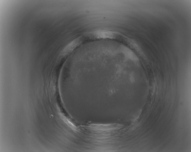 X0000081610402200701221207