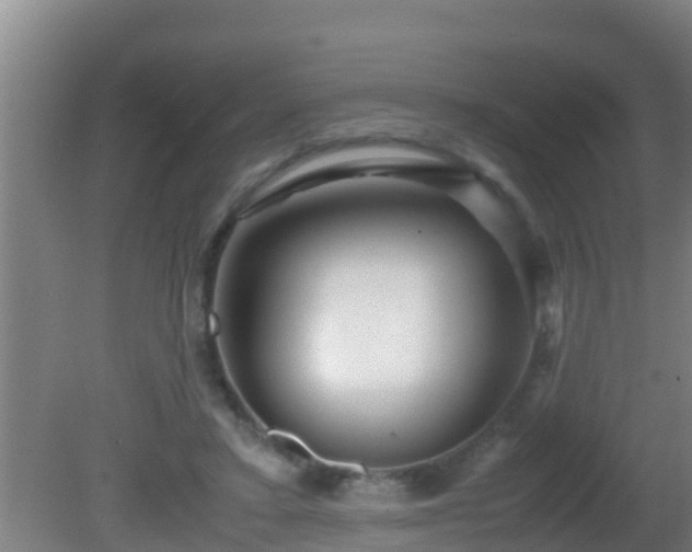 X0000081610403200701221207