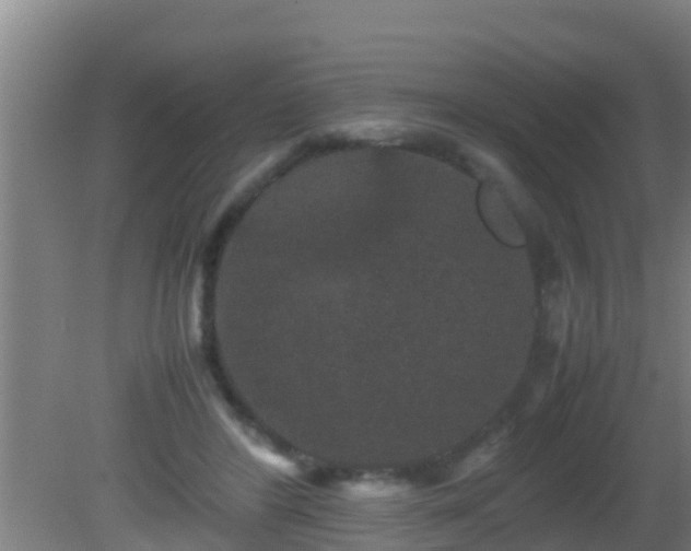 X0000081610404200701221207