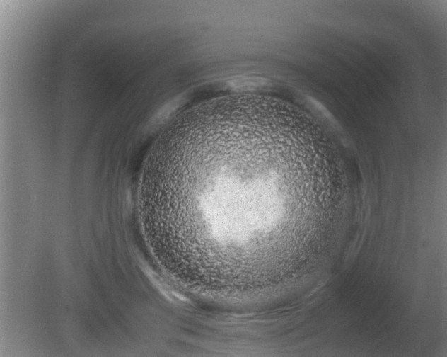 X0000081610405200701221207