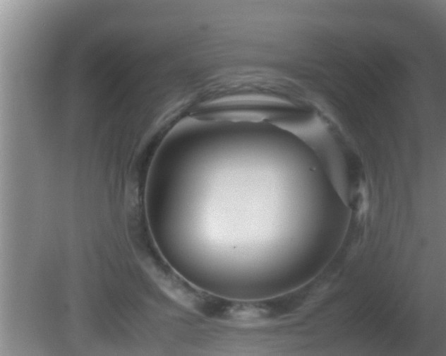 X0000081610407200701221207