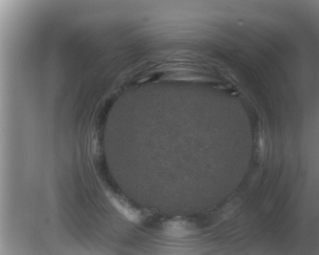 X0000081610408200701221207