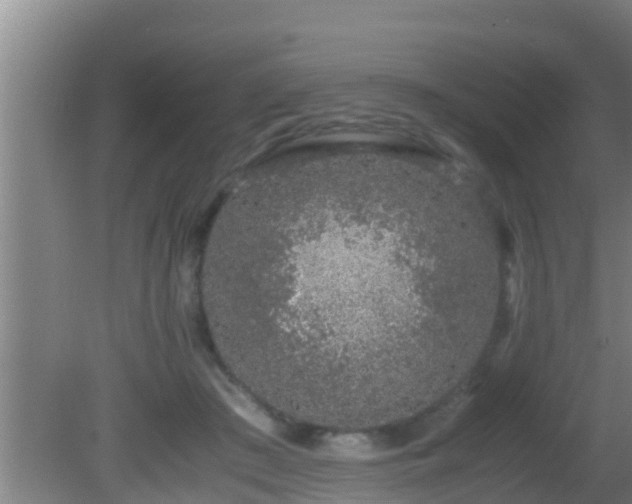 X0000081610409200701221207