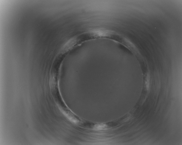 X0000081610410200701221207