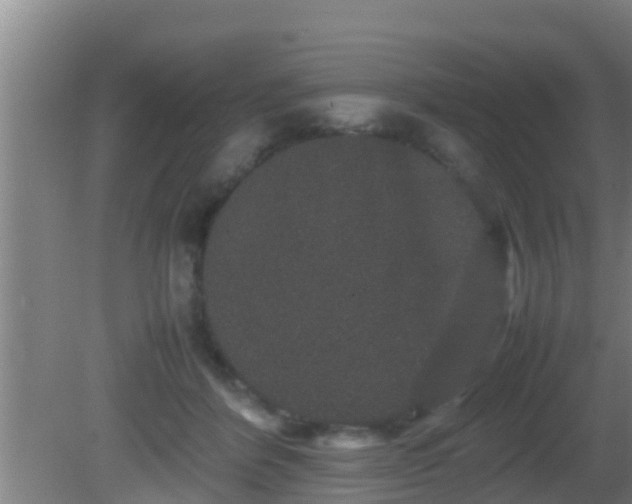 X0000081610412200701221207