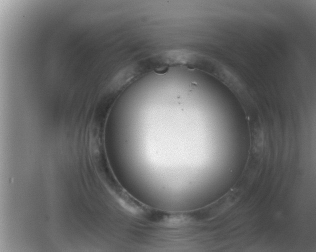 X0000081610414200701221207