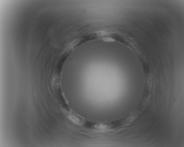 X0000081610419200701221207