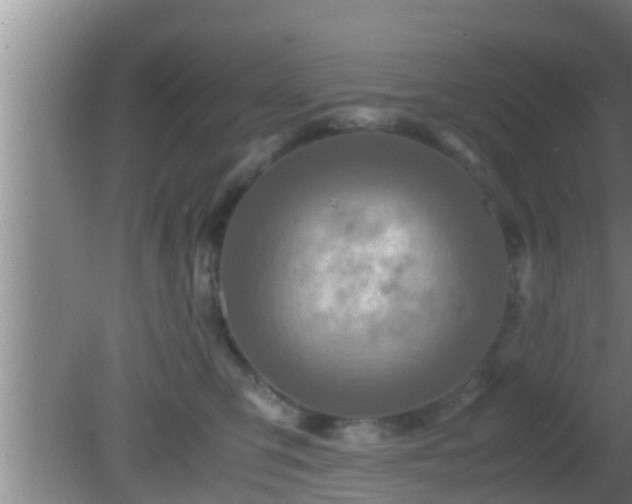 X0000081610423200701221207