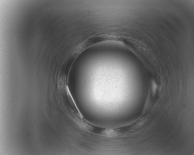 X0000081610425200701221207