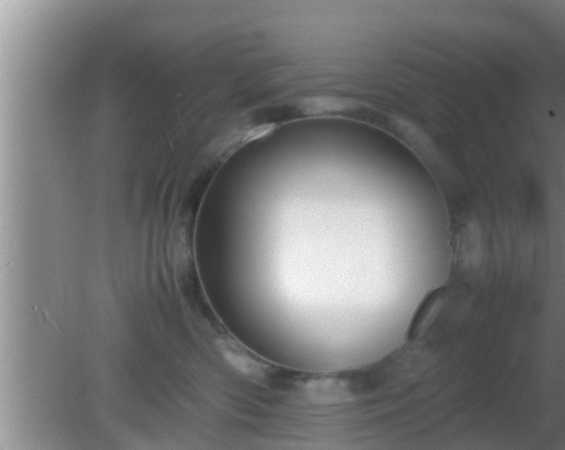 X0000081610426200701221207