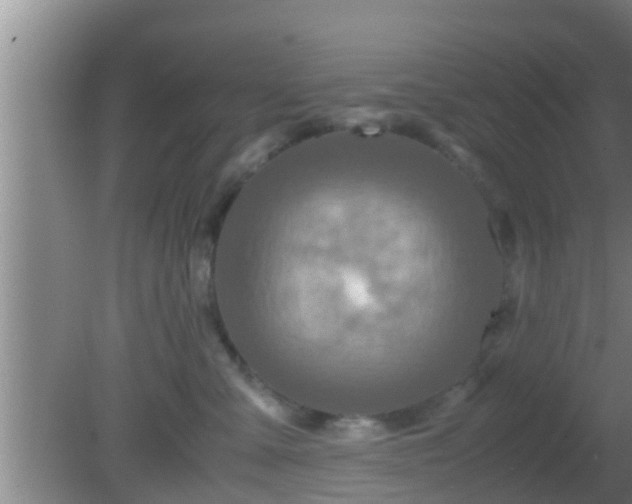 X0000081610427200701221207