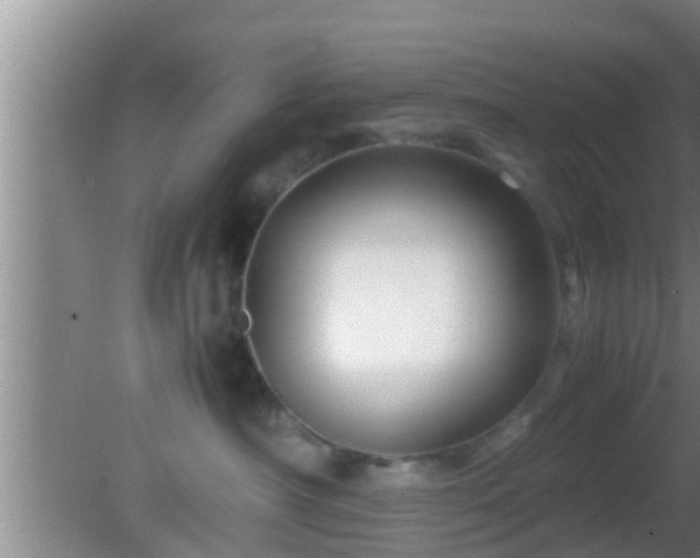 X0000081610430200701221207