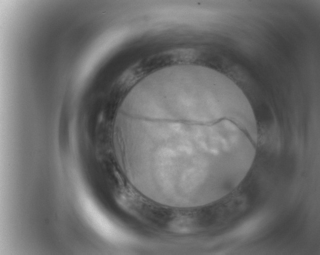 X0000081610431200701221207