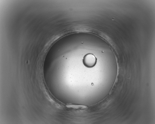 X0000081610433200701221206