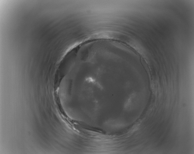 X0000081610434200701221206