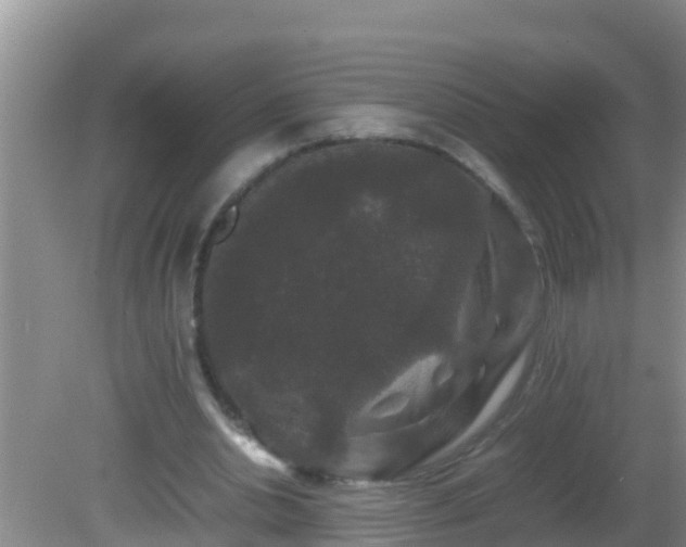 X0000081610438200701221206