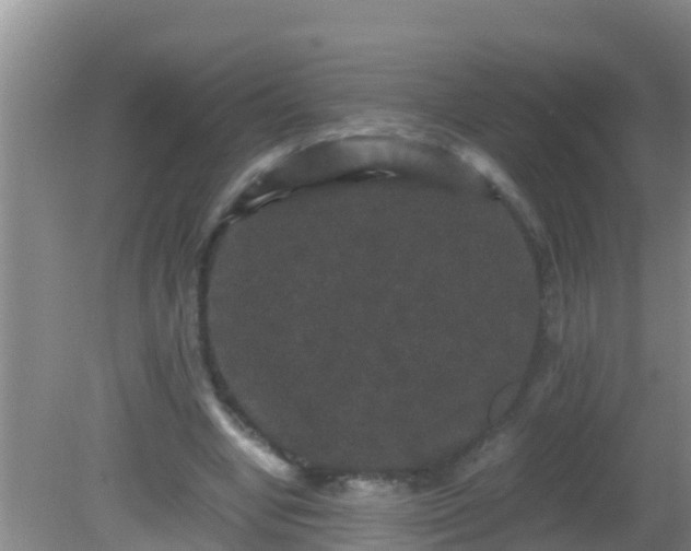 X0000081610442200701221206