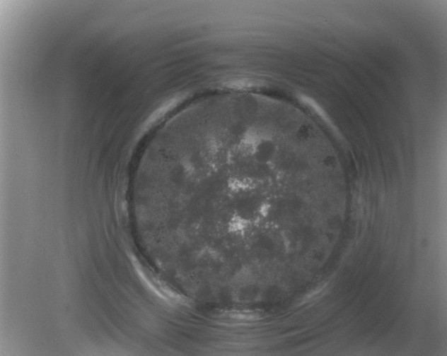 X0000081610443200701221206