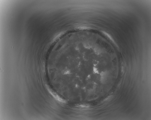 X0000081610447200701221206