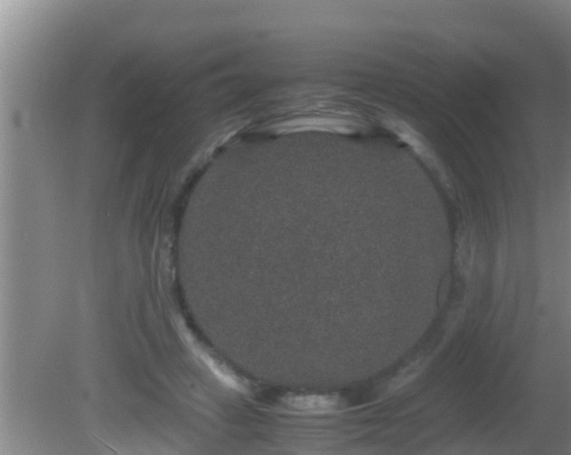 X0000081610449200701221206