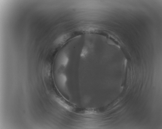 X0000081610458200701221206