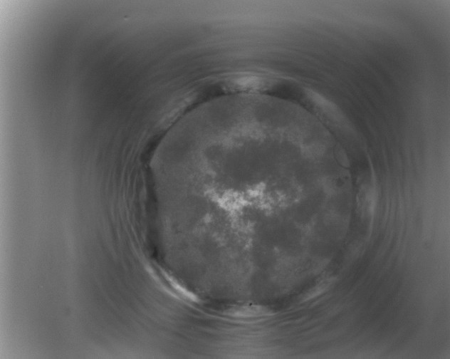 X0000081610459200701221206