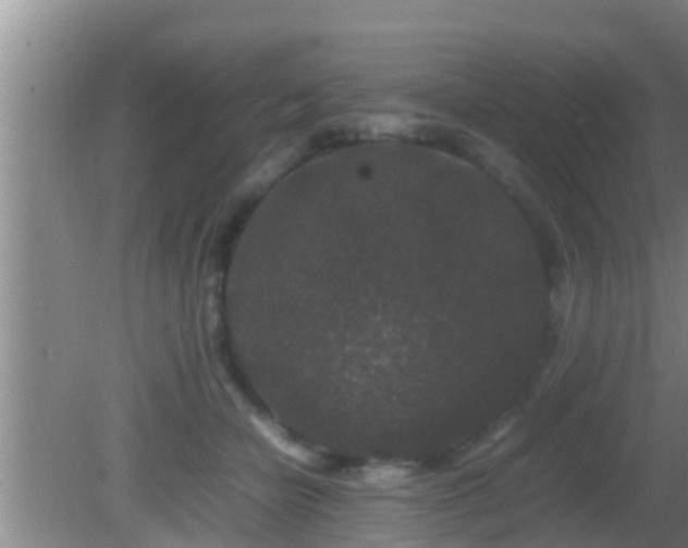 X0000081610462200701221207