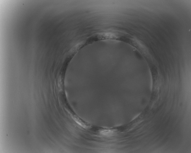 X0000081610465200701221207