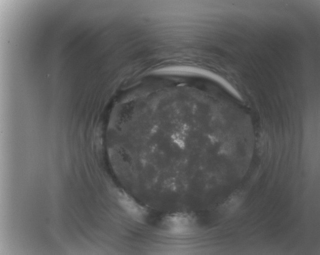 X0000081610466200701221207