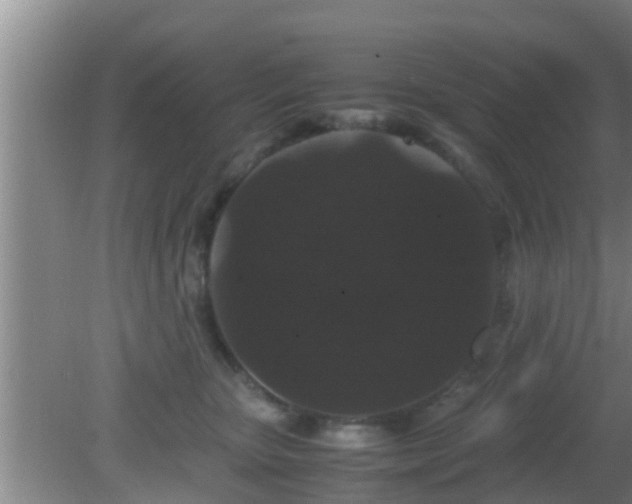 X0000081610467200701221207