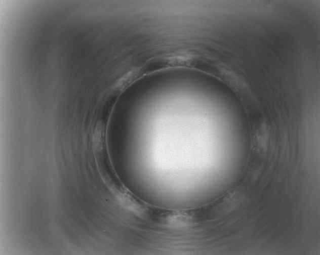 X0000081610468200701221207