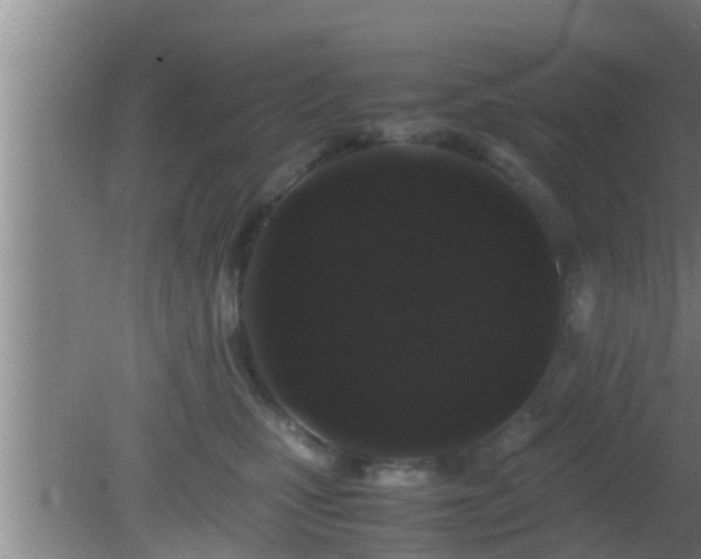 X0000081610471200701221207