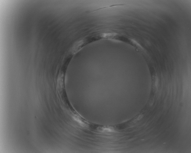 X0000081610475200701221207