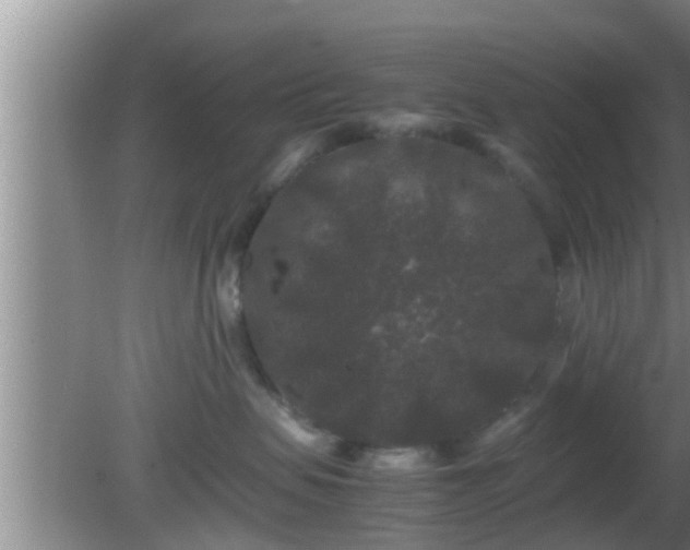 X0000081610479200701221207