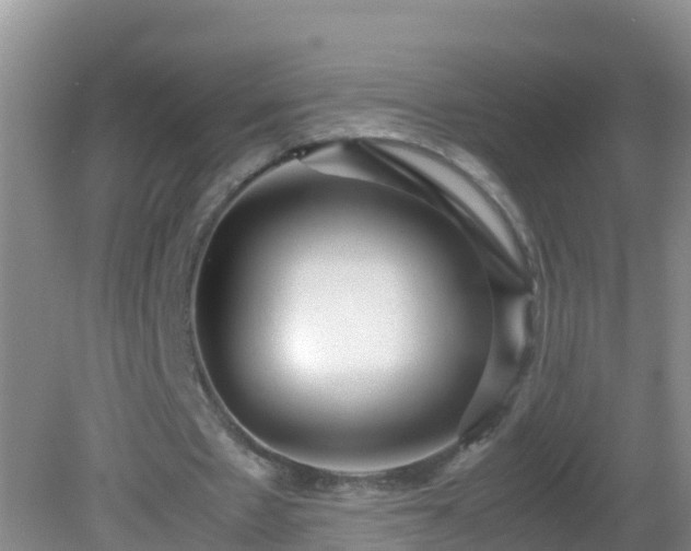 X0000081610481200701221206