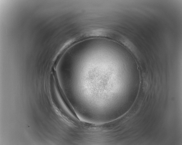 X0000081610482200701221206