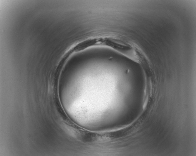 X0000081610483200701221206