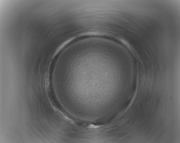 X0000081610484200701221206