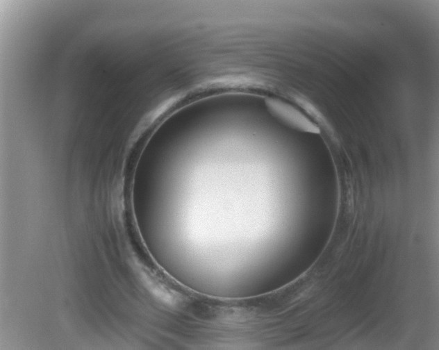 X0000081610486200701221206