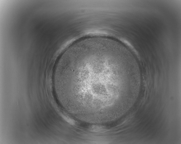 X0000081610487200701221206