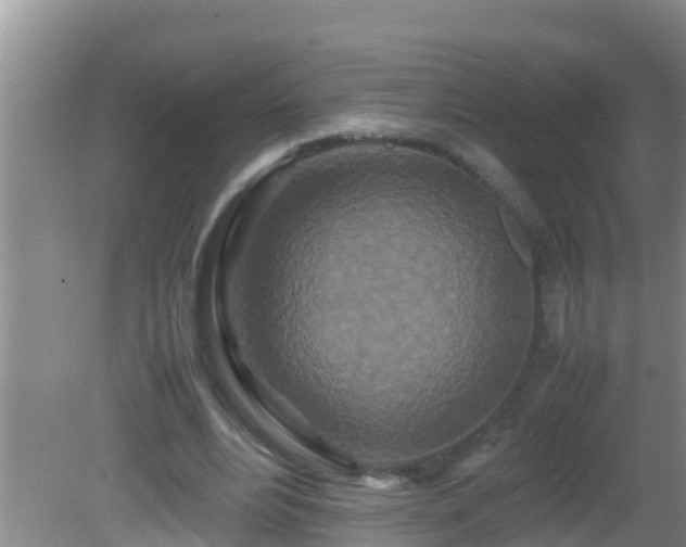 X0000081610488200701221206