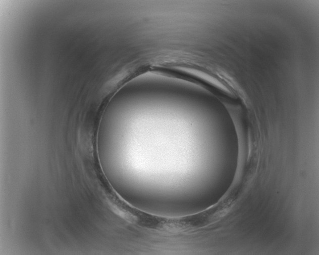 X0000081610489200701221206