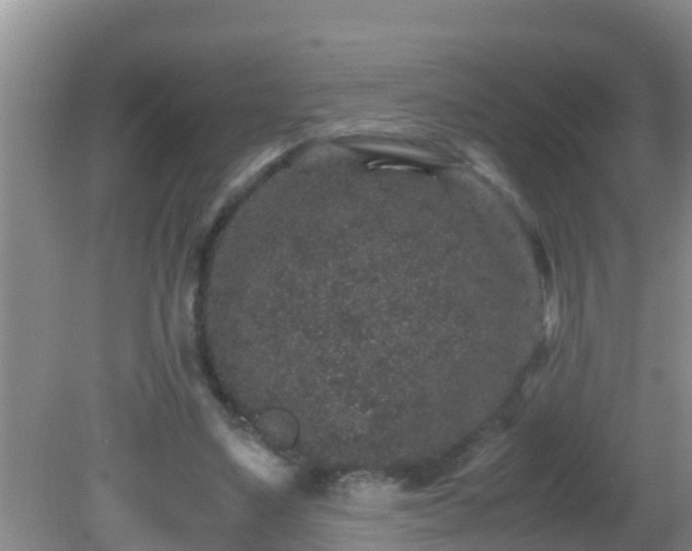 X0000081610491200701221206