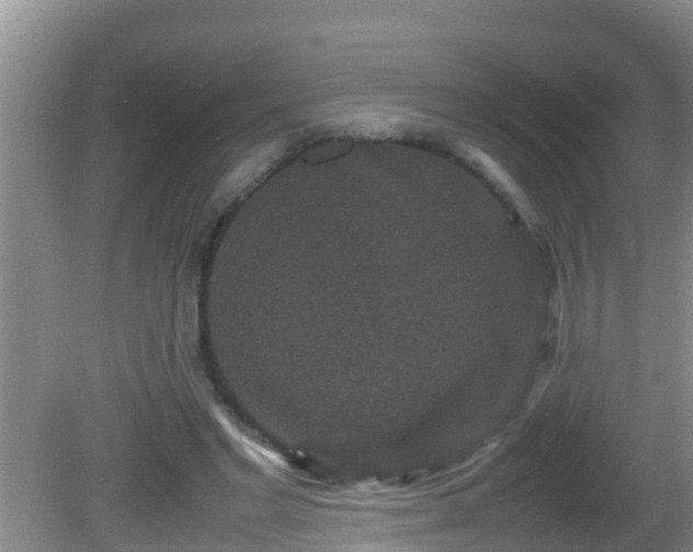 X0000081610493200701221206