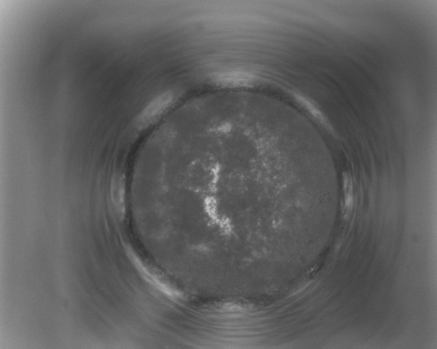 X0000081610494200701221206