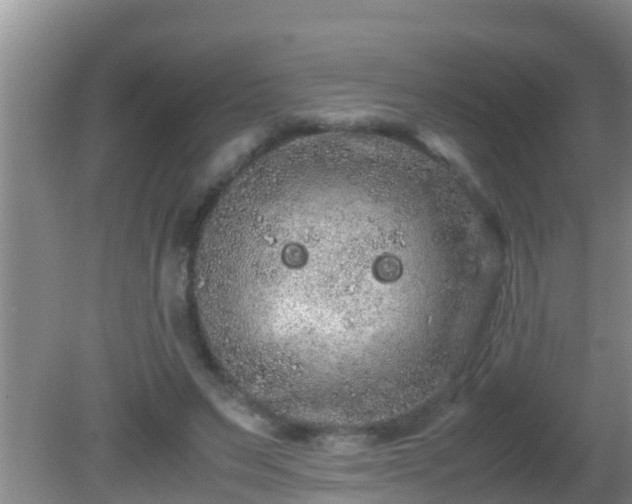 X0000081610495200701221206