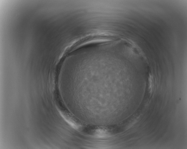 X0000081610496200701221206