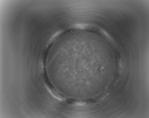 X0000081610500200701221206