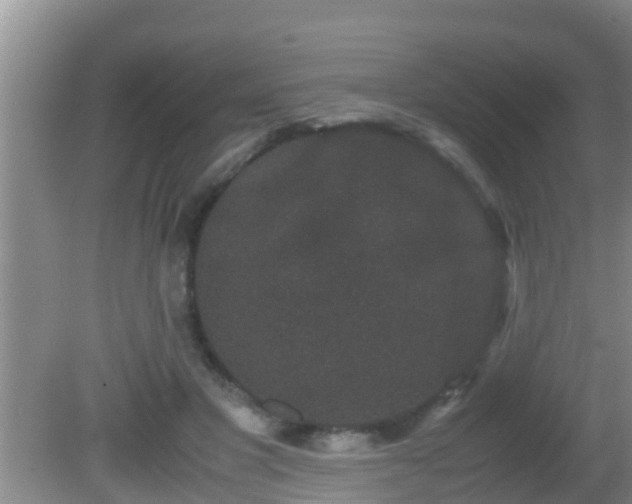 X0000081610501200701221206