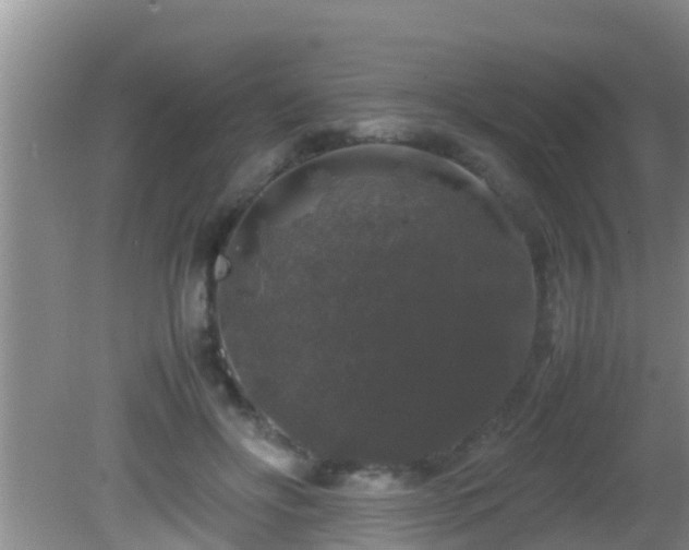 X0000081610502200701221206